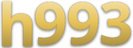 h993 logo